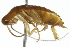  ( - 10BBBLA-0014)  @12 [ ] CreativeCommons - Attribution (2010) CBG Photography Group Centre for Biodiversity Genomics