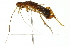  ( - 10BBBLA-0024)  @12 [ ] CreativeCommons - Attribution (2010) CBG Photography Group Centre for Biodiversity Genomics