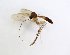  ( - TSZD-JKJ-102071)  @12 [ ] CreativeCommons - Attribution Non-Commercial Share-Alike (2016) Unspecified Tromsø University Museum