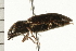  ( - CHU-MXC-032)  @12 [ ] CreativeCommons - Attribution (2009) Unspecified Centre for Biodiversity Genomics