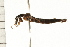  ( - CHU-MXC-039)  @12 [ ] CreativeCommons - Attribution (2009) Unspecified Centre for Biodiversity Genomics