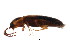  ( - BIOUG00971-D07)  @13 [ ] CreativeCommons - Attribution (2011) CBG Photography Group Centre for Biodiversity Genomics
