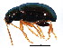  ( - BIOUG00971-E09)  @12 [ ] CreativeCommons - Attribution (2011) CBG Photography Group Centre for Biodiversity Genomics