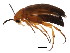  ( - BIOUG00971-G05)  @13 [ ] CreativeCommons - Attribution (2011) CBG Photography Group Centre for Biodiversity Genomics