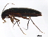  ( - BIOUG00972-G04)  @11 [ ] CreativeCommons - Attribution (2011) CBG Photography Group Centre for Biodiversity Genomics