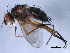  ( - 10JSROW-0020)  @12 [ ] CreativeCommons - Attribution (2010) CBG Photography Group Centre for Biodiversity Genomics