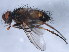  ( - 10JSROW-0053)  @13 [ ] CreativeCommons - Attribution (2010) CBG Photography Group Centre for Biodiversity Genomics