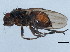  ( - 10JSROW-0201)  @12 [ ] CreativeCommons - Attribution (2010) CBG Photography Group Centre for Biodiversity Genomics