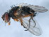  ( - 10JSROW-0326)  @12 [ ] CreativeCommons - Attribution (2010) CBG Photography Group Centre for Biodiversity Genomics