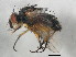  ( - 10JSROW-0078)  @12 [ ] CreativeCommons - Attribution (2010) CBG Photography Group Centre for Biodiversity Genomics
