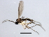  ( - 10JSROW-0357)  @13 [ ] CreativeCommons - Attribution (2010) CBG Photography Group Centre for Biodiversity Genomics