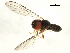  ( - 10JSROW-0622)  @12 [ ] CreativeCommons - Attribution (2010) CBG Photography Group Centre for Biodiversity Genomics