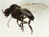  ( - 10JSROW-0747)  @12 [ ] CreativeCommons - Attribution (2010) CBG Photography Group Centre for Biodiversity Genomics