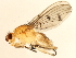  ( - 10JSROW-0780)  @14 [ ] CreativeCommons - Attribution (2010) CBG Photography Group Centre for Biodiversity Genomics