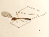  ( - 10JSROW-0785)  @12 [ ] CreativeCommons - Attribution (2010) CBG Photography Group Centre for Biodiversity Genomics