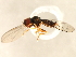  ( - 10JSROW-0794)  @13 [ ] CreativeCommons - Attribution (2010) CBG Photography Group Centre for Biodiversity Genomics