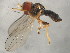  ( - 10JSROW-1035)  @12 [ ] CreativeCommons - Attribution (2010) CBG Photography Group Centre for Biodiversity Genomics