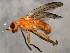  ( - 10JSROW-1206)  @13 [ ] CreativeCommons - Attribution (2011) CBG Photography Group Centre for Biodiversity Genomics