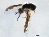  ( - 10JSROW-1294)  @12 [ ] CreativeCommons - Attribution (2010) CBG Photography Group Centre for Biodiversity Genomics