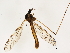  ( - 10JSROW-1301)  @13 [ ] CreativeCommons - Attribution (2010) CBG Photography Group Centre for Biodiversity Genomics