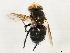  ( - 10JSROW-1326)  @12 [ ] CreativeCommons - Attribution (2010) CBG Photography Group Centre for Biodiversity Genomics