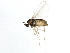  ( - 10JSROW-1358)  @12 [ ] CreativeCommons - Attribution (2011) CBG Photography Group Centre for Biodiversity Genomics