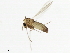  ( - 10JSROW-1364)  @13 [ ] CreativeCommons - Attribution (2011) CBG Photography Group Centre for Biodiversity Genomics