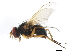  ( - 10JSROW-1719)  @13 [ ] CreativeCommons - Attribution (2011) CBG Photography Group Centre for Biodiversity Genomics