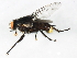  ( - 10JSROW-1840)  @14 [ ] CreativeCommons - Attribution (2011) CBG Photography Group Centre for Biodiversity Genomics
