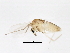  ( - 10JSROW-1098)  @12 [ ] CreativeCommons - Attribution (2011) CBG Photography Group Centre for Biodiversity Genomics