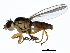  ( - 10JSROW-1142)  @14 [ ] CreativeCommons - Attribution (2011) CBG Photography Group Centre for Biodiversity Genomics