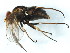  ( - BIOUG00825-B01)  @13 [ ] CreativeCommons - Attribution (2011) CBG Photography Group Centre for Biodiversity Genomics