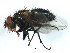  ( - BIOUG00825-B02)  @14 [ ] CreativeCommons - Attribution (2011) CBG Photography Group Centre for Biodiversity Genomics
