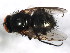  ( - BIOUG00825-E07)  @14 [ ] CreativeCommons - Attribution (2011) CBG Photography Group Centre for Biodiversity Genomics
