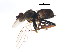  ( - BIOUG00855-C09)  @12 [ ] CreativeCommons - Attribution (2011) CBG Photography Group Centre for Biodiversity Genomics
