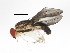  ( - BIOUG00855-F12)  @13 [ ] CreativeCommons - Attribution (2011) CBG Photography Group Centre for Biodiversity Genomics