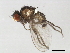  ( - BIOUG00832-B04)  @12 [ ] CreativeCommons - Attribution (2011) CBG Photography Group Centre for Biodiversity Genomics