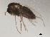  ( - BIOUG00832-G08)  @13 [ ] CreativeCommons - Attribution (2011) CBG Photography Group Centre for Biodiversity Genomics