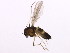  ( - BIOUG00860-C06)  @14 [ ] CreativeCommons - Attribution (2011) CBG Photography Group Centre for Biodiversity Genomics