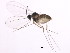  ( - BIOUG00860-D02)  @13 [ ] CreativeCommons - Attribution (2011) CBG Photography Group Centre for Biodiversity Genomics