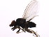  ( - BIOUG00860-H01)  @12 [ ] CreativeCommons - Attribution (2011) CBG Photography Group Centre for Biodiversity Genomics