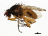  ( - BIOUG00866-C09)  @14 [ ] CreativeCommons - Attribution (2011) CBG Photography Group Centre for Biodiversity Genomics