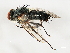  ( - BIOUG00866-D03)  @13 [ ] CreativeCommons - Attribution (2011) CBG Photography Group Centre for Biodiversity Genomics