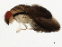  ( - BIOUG00866-D11)  @13 [ ] CreativeCommons - Attribution (2011) CBG Photography Group Centre for Biodiversity Genomics