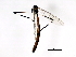  ( - BIOUG00867-A09)  @12 [ ] CreativeCommons - Attribution (2011) CBG Photography Group Centre for Biodiversity Genomics
