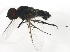  ( - BIOUG00867-E07)  @13 [ ] CreativeCommons - Attribution (2011) CBG Photography Group Centre for Biodiversity Genomics