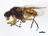  ( - BIOUG00904-G04)  @13 [ ] CreativeCommons - Attribution (2011) CBG Photography Group Centre for Biodiversity Genomics