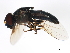  ( - BIOUG00904-H02)  @14 [ ] CreativeCommons - Attribution (2011) CBG Photography Group Centre for Biodiversity Genomics