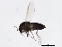  ( - BIOUG00915-B07)  @13 [ ] CreativeCommons - Attribution (2011) CBG Photography Group Centre for Biodiversity Genomics