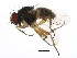  ( - BIOUG00938-A02)  @13 [ ] CreativeCommons - Attribution (2011) CBG Photography Group Centre for Biodiversity Genomics